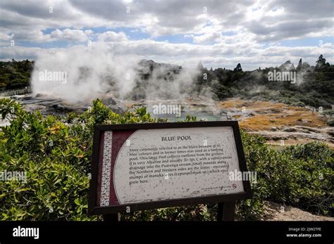 The Blue Pool at Te Puia Whakarewarewa Geothermal Valley surrounded by ...