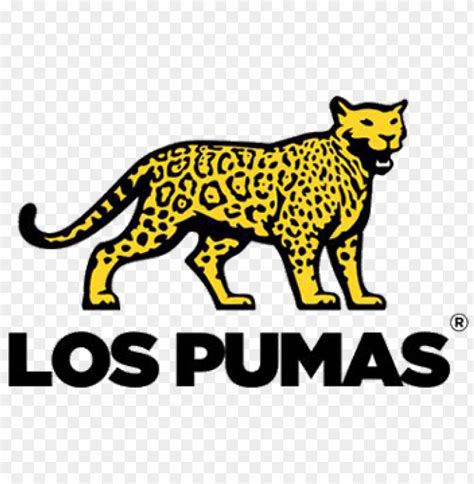 los pumas rugby logo png images background | TOPpng