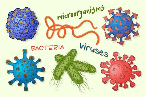 virus patógenos, gérmenes, microorganismos, microbios aislados sobre ...