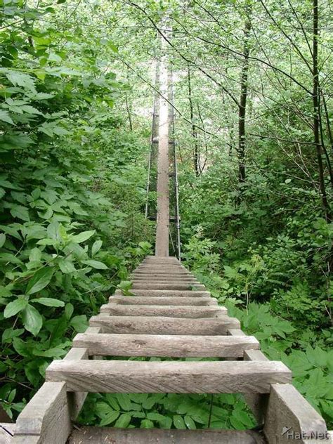 West Coast trail, Vancouver Island, BC. Going down the ladders at Logan ...