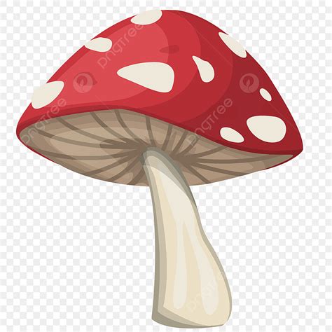 Watercolour Fungi Clipart PNG, Vector, PSD, and Clipart With ...