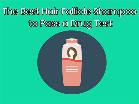 The Best Hair Follicle Shampoo - Quick Fix Synthetic Urine