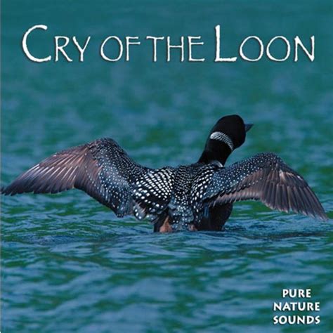 Cry of the Loon CD – Loon Preservation Committee