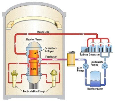 Nuclear Power Plant Reactor