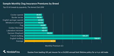 Average Cost of Pet Insurance UK 2020 | NimbleFins