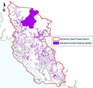 21. Marbled Murrelet Nesting Habitat – Sunshine Coast Conservation ...