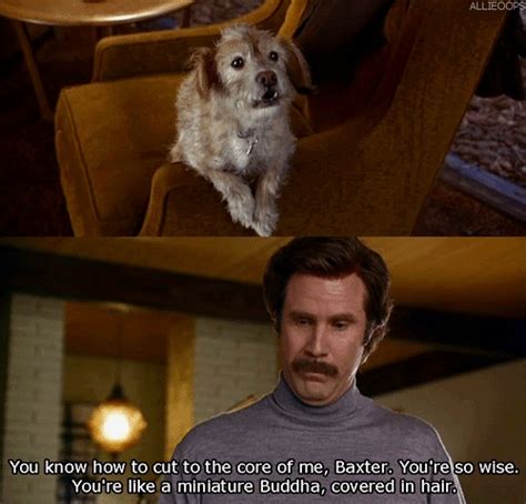 anchorman | Anchorman, Anchorman quotes, Funny movies