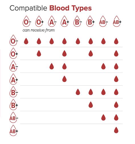 Types of Donation - Donate Blood - The Blood Connection