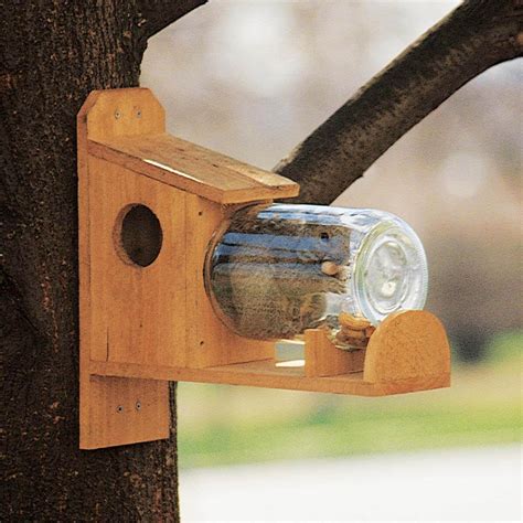 How to Make a Squirrel Feeder — The Family Handyman