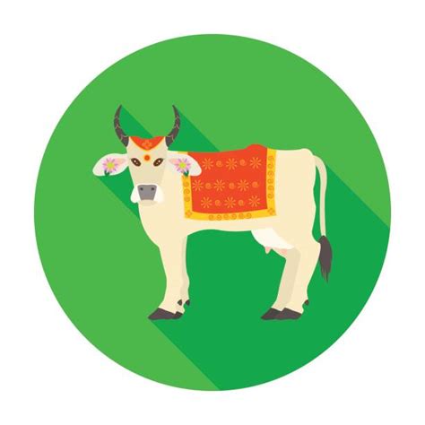 Sacred Cow Illustrations, Royalty-Free Vector Graphics & Clip Art - iStock