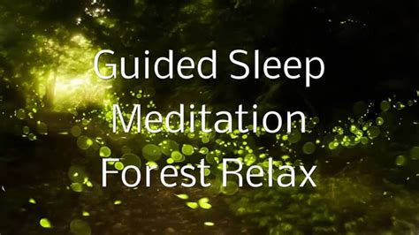 Guided Sleep Meditation FOREST RELAX By Jason Stephenson - YouTube