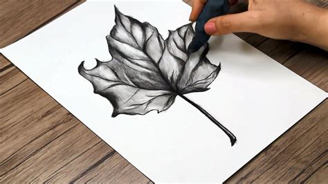 How to Draw a Leaf Step by Step | Realistic Pencil Drawing Tutorial ...