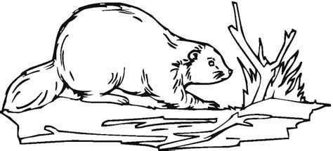 beaver coloring pages beaver making a dam Tree Coloring Page, Animal ...