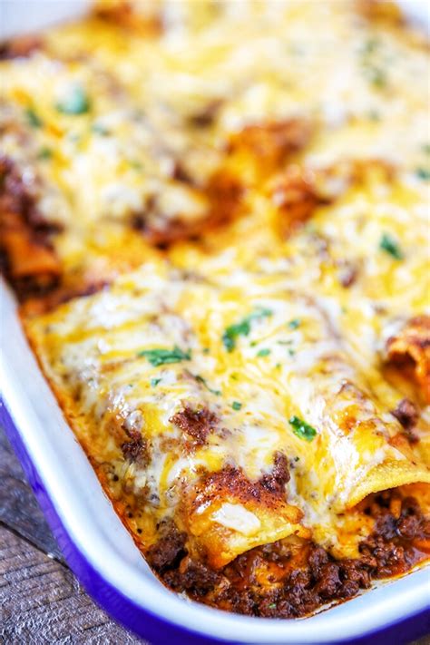 Beef Enchiladas With Sour Cream Sauce Recipe | Besto Blog