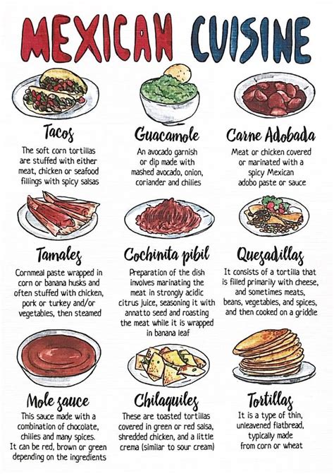 Mexican Cuisine | Food infographic, Culinary cooking, Food vocabulary