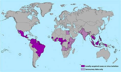 What Is Zika? Everything You Need To Know About The Zika Virus