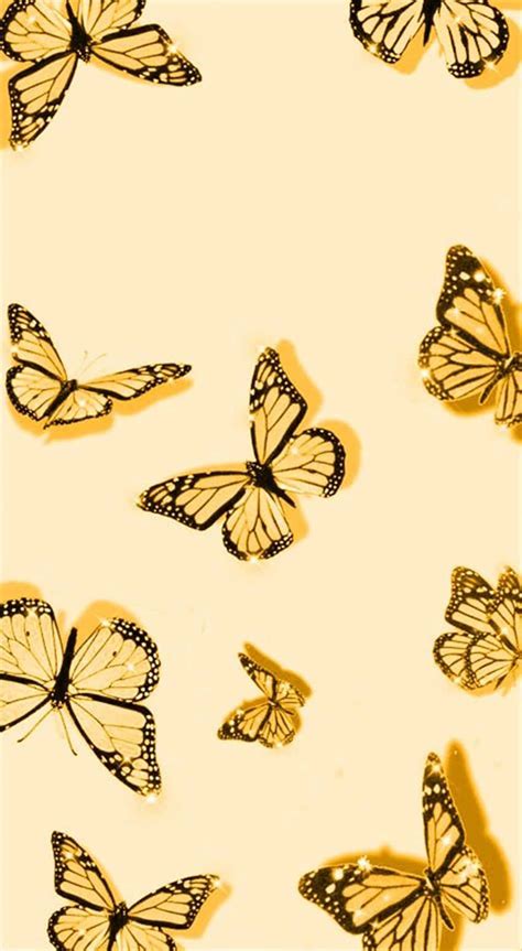 Download Cute Black Yellow Butterflies Wallpaper | Wallpapers.com