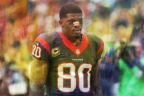 Andre Johnson Stats | NFL Career, Season, and Playoff Statistics