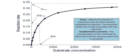 enzyme substrate concentration