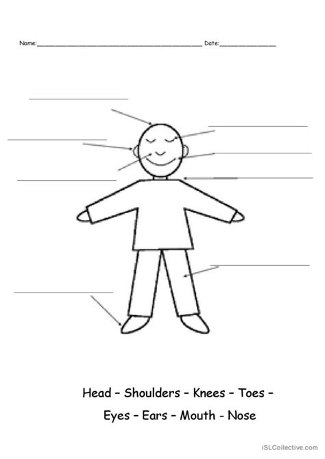 Head shoulders knees and toes : English ESL worksheets pdf & doc