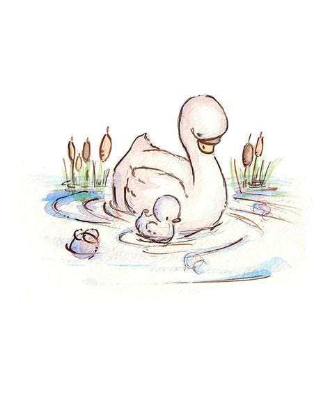 My Baby Swan Print | zulily | Baby swan, Swans art, Swan drawing