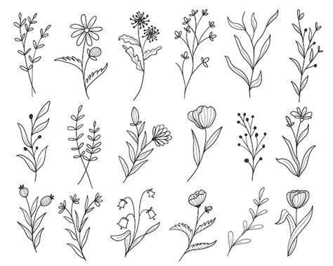 Line Drawn Floral Images - Free Download on Freepik