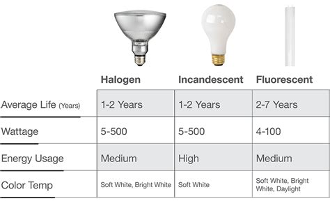 Best Kitchen Light Bulb Types 2023 - AtOnce