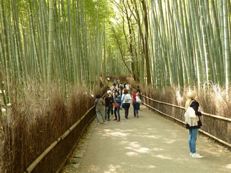 Arashiyama Sagano Bamboo Grove - Kyoto Travel Tips - Japan Travel Guide ...