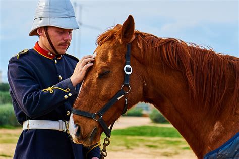 200+ Free Cavalry & Nature Images - Pixabay