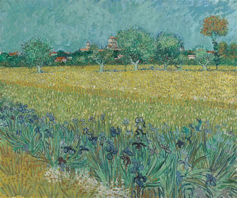 Vincent van Gogh - Field with Irises near Arles (1888) : r/museum