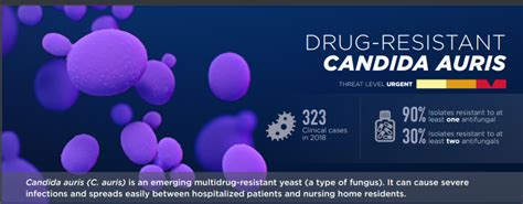 Candida auris: Transmission, Risk, Diagnosis, Treatment – Microbe Online