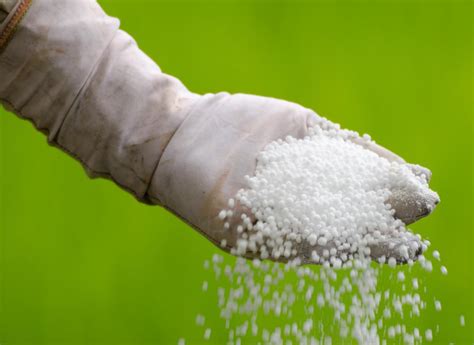 What is Urea? (with pictures)