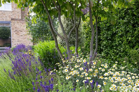 Best Native Trees For Small Gardens Uk at Rudy Janet blog