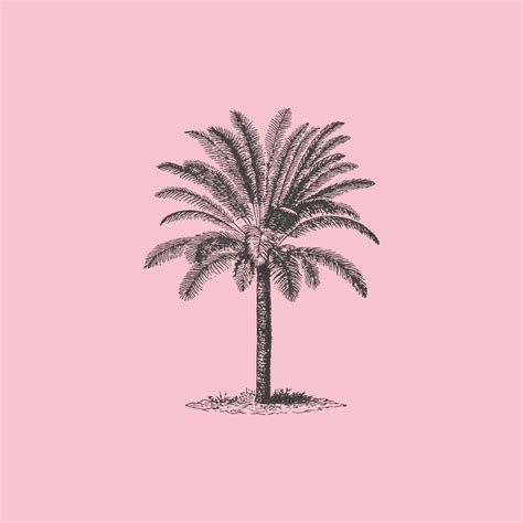 Pink palm tree design canvas pictures for dining room - TenStickers