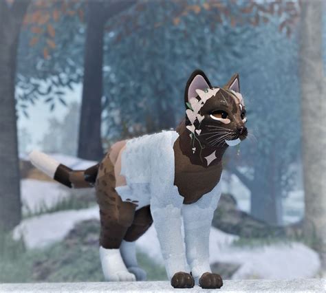 brown and white wcue morph in 2023 | Warrior cats art, Warrior cat ...