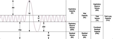 How to read a Spirometer - spirometry normal values