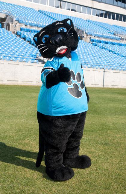 Sir Purr - Carolina Panthers' mascot | Nfl panthers, Carolina panthers ...