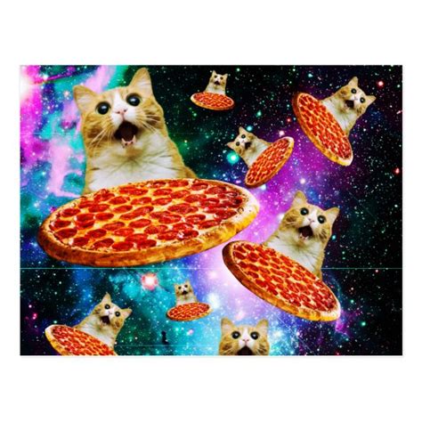 Funny space pizza cat postcard | Zazzle.com