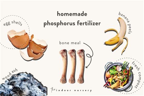 Homemade phosphorus fertilizer: Easy all natural DIY fertilizer in your ...