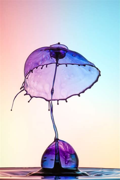 Water drip photography | Water sculpture, Photography drop, Water art