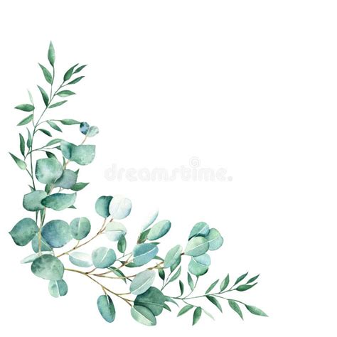 Watercolor Foliage Bouquet, Corner. Eucalyptus and Pistachio Branches ...