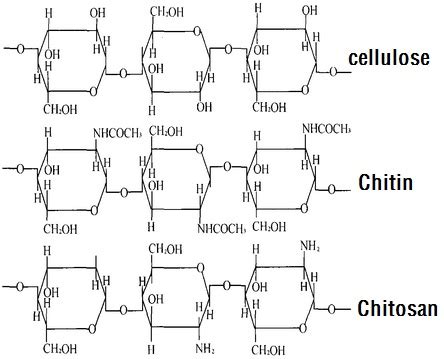 Chitosan CAS#: 9012-76-4