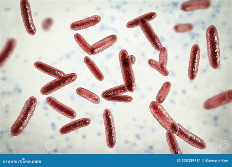 Bacteria Citrobacter, Gram-negative Coliform Bacteria In The Family ...