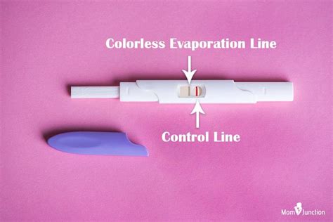 What Color Are Evaporation Lines On Pregnancy Tests - Quotes Viral