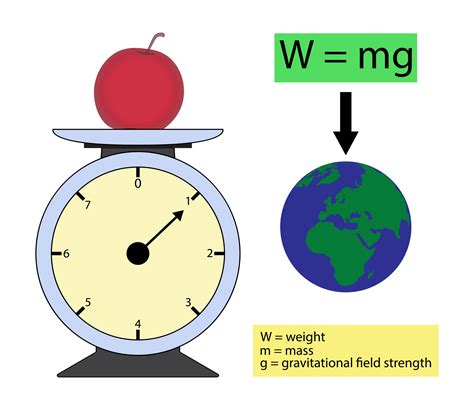 What is the difference between mass and weight?