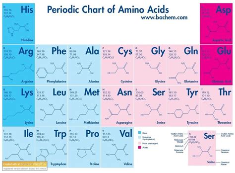 amino acid chart - Google Search | A exam images | Pinterest | Periodic ...