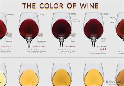 The Wine Color Chart | Wine Folly