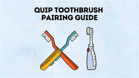 Quip Brush Pairing Guide In 2023 - Power Tooth Paste