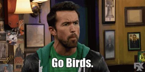 Gobirds Eagles GIF - Gobirds Eagles - Discover & Share GIFs