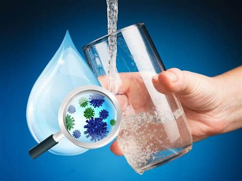 Water Contamination and Your Immune System - Beyond Health